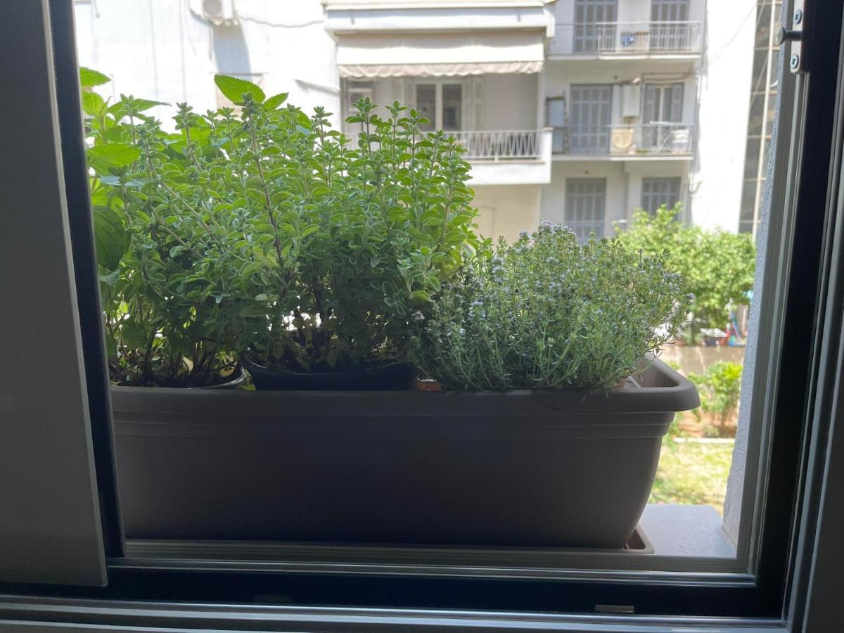 Apartment Sapfo Luxury 1 In